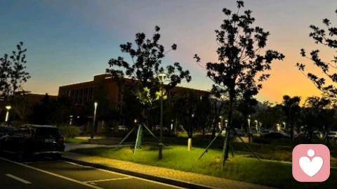 为什么明知道网络爱情是虚幻的，可是幸福和美好的感觉确是真实的？