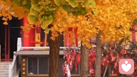 为什么当一个人爱上另一个人，反而保持距离，故意远离