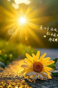 Morning??
未來(lái)的道路一定會(huì)想清晨一樣，盛滿陽(yáng)光，保持好自己的節(jié)奏，愿所有期盼皆能如愿以償配圖