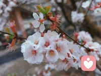 真正不好惹的人，从来不是脾气最大的人！
而是平时不惹事，有事不怕事的人！配图