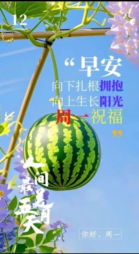 又是新的一天，早安
