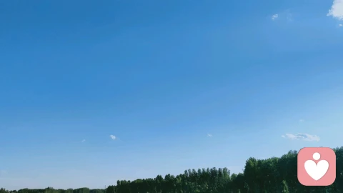 人生的意义是什么？