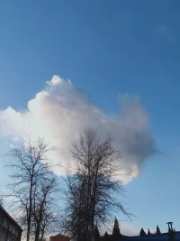 真正惨的人不会卖，只有不惨的人才卖给你看。真正惨的人内心的伤疤怎么会揭给你看，你只要发现他的惨，他都会受不了，只有不惨的人，为了自己的目的才卖给你看。
