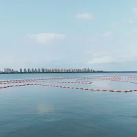 为自己而活不叫自私，要求别人为自己而活，才叫自私。