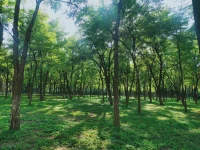富在術數不在勞身，利在勢局不在力耕。拒絕蠻力內耗，運用戰術，把握時局，是幸福關鍵。配圖