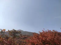 山不向你走來，你便向山走去。行動的含義，是縮短與目標的距離。配圖