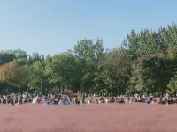 優(yōu)秀的獵手往往以獵物的身份出現(xiàn)，警惕身邊突然冒出來的好人。配圖