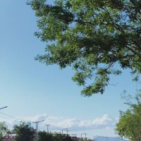 成功从不迟到，时间会给耐心努力的人奖赏。