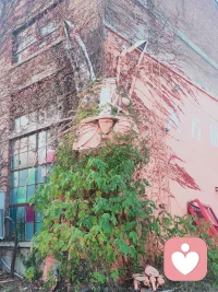 有些好只有媽媽做得到，但世上不該只有媽媽好。配圖