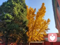 沒有什么同齡人，平均值，社會標(biāo)準(zhǔn)。只有你自己，眼前事，腳下路。配圖