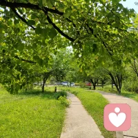 我们总喜欢拿顺其自然敷衍人生道路上的荆棘坎坷，却很少承认。真正的顺其自然，其实是竭尽所能之后的不强求，而非两手一摊的不作为。