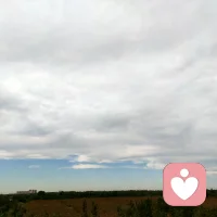 在塵埃落定之前，不如沉默。一時的沉默，也許勝過千言萬語。配圖