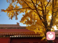 高調做事，低調做人，先把事做好，再想想怎么把事說好。配圖