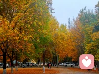 許自己沉淀一段時間。也許沒有任何征兆，很多事情只是在不經(jīng)意間就釋懷了。配圖