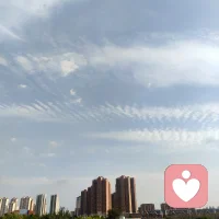 人生緩緩，自有答案。被愛當然好，沒有也沒關系。無法重來的人生，請盡量快樂。配圖