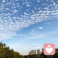 生活大概就是這樣，一半是回憶，一半是繼續(xù)…...故人已遠，我們還要繼續(xù)留在時光的長河里航行。配圖