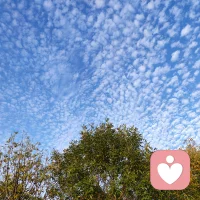 “喜歡”和“渴望”這兩種情感，是由兩種不同的神經系統來完成的。“喜歡”與愛的體驗相關，而“渴望”不一定會帶來愛的體驗。因此，追求愛情的人們，不要被“渴望”輕易欺騙。配圖