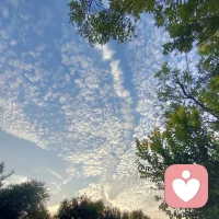 外表魅力高的時候，婚姻關系的滿意程度可能會低一些；外表魅力低的時候，婚姻關系的滿意程度可能會高一些。配圖