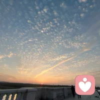 在人类的遗传基因里面,没有事先刻入让人们幸福的基因,它需要用学习和思考去创建,用理解和包容去维护,用持续地成长去发展。