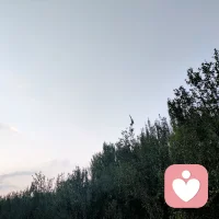 有人说女人来自金星,男人来自火星,说明男女在处理问题的方式上有很多不同。我们可以多读一些相关的心理学书籍,了解其背后的原因。在处理爱情婚姻关系时,我们看问题也许会更加理性。