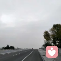 在爱情婚姻的关系中,很多偶然事件的背后,往往都有着深刻的心理行为印记和认知基础,需要你发现其隐含的意义。