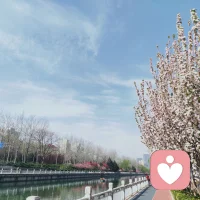 情感,例如爱,是隐含的、持续的、稳定的。那些细小的、具体的、累积的内心情感体验和感受,才是亲密关系内在质量的核心。