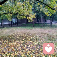 很多職場人因為工作忙碌，就忘記如廁了，長此以往會對身體產生負面影響。因此，該如廁時就如廁，身體健康最重要。配圖