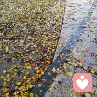 當(dāng)大家對著電腦思維枯竭的時(shí)候，不妨去一趟衛(wèi)生間，也許會(huì)讓你茅塞頓開、靈感迸發(fā)。但是還要注意，如廁時(shí)間不宜過長，否則會(huì)導(dǎo)致腿腳發(fā)麻等情況。配圖