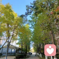 人們有時候忙于開會或者趕方案，而忘記喝水。適量喝水對身體健康是很重要的，建議職場人每天飲水量約為2500-3000ml。配圖