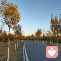 工作時，抬起頭看看窗外的風(fēng)景，可以緩解視覺疲勞。或者站起來，伸伸腰、擴擴胸、活動活動腿部，都可以讓肌肉得到放松。配圖