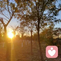 認(rèn)真負(fù)責(zé)是每位職場(chǎng)人的基本素養(yǎng)，所以把握好摸魚(yú)的分寸很重要。無(wú)意義的摸魚(yú)只會(huì)虛度光陰，科學(xué)摸魚(yú)才可以創(chuàng)造更多的價(jià)值。勞逸結(jié)合，進(jìn)退有度，長(zhǎng)期可持續(xù)發(fā)展是我們追求的工作方式。配圖