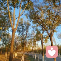 辦公室心理調(diào)適，從辦公桌開始。雜亂無序的辦公桌總是更讓人抓狂，不妨抽出十分鐘整理下自己的辦公桌，讓工作氛圍整潔有序。順手做點兒體力活兒，給桌上的小花澆點水，為綠植洗洗葉片；擦拭一下鍵盤和顯示屏，給主機除除塵。配圖