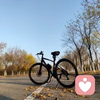 研究結果表明，廣泛的閱讀，是療愈情緒的良藥，6分鐘內就能夠降低壓力水平68%。書上的文字能夠激發人們的創造力，從而帶人們進入另一種狀態。閱讀時人們的思緒會集中在文字上，進入文學世界，緊張的身體和大腦可以因此放松。配圖