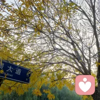 如果無法控制自己睡前不玩手機，那么不妨嘗試一下睡前避免讓大腦過度興奮，聽聽舒緩的音樂，讀一本書，睡前2小時把燈光調試到最適合睡眠的暖色燈，放松身體等等，總之，睡前1小時，不要將注意力放在手機上。配圖