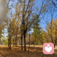 初識的熱情如煙火璀璨，久伴的勇氣似細水長流。從彼此想念，到我想你，直到我放棄想你，這也許是一種成長。我想一個人，遺忘或者懷念，惋惜或者心有不甘，都只是我自己的事情。常常，我們沒有忘記過去，不是因為懷念別人，而是懷念那段歲月中的自己。得不到的或許換來了另一種得到。在三四月做的事，也許在七八月會有答案呢。配圖