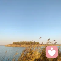 慢有慢的道理，閑庭獨坐對閑花，輕煮時光慢煮茶，不問人間煙火事，任憑歲月染霜華。人生緩緩，自有答案。配圖