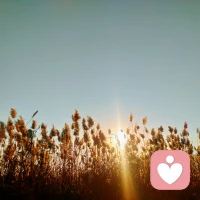 不要三觀跟著五官走，因為有些美好，并沒有可愛的外衣，需要我們?nèi)グl(fā)現(xiàn)，去遇見，遵循內(nèi)心的原則，不要被外表的浮華所擾。配圖