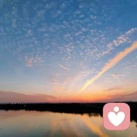 在职场中，你需要拥有一项过硬的专业技能，最好是别人无可替代的，给自己的技能加buff，才能让你在职场中脱颖而出。