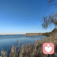 一個人進(jìn)入職場，最終成為什么樣，是由自己的眼界和見識決定的。而我們與什么樣的人在一起、接觸什么樣的環(huán)境，決定了我們擁有怎樣的眼光和格局。與優(yōu)秀的人共事，往往更容易學(xué)到他們身上難能可貴的品質(zhì)和學(xué)識，自己也更容易走向成功。如果你置身于一個周圍的人都非常優(yōu)秀的職場環(huán)境里面，就自然會被一股力量推著成長。配圖