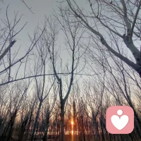 幸運的事兒和高成就并不能帶給人們長久的幸福。進入職場，取得了一定成就，能否再繼續前進，關鍵在于個人是否有目標，是否朝著自己的目標方向前進。配圖