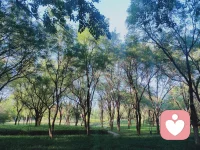 建立高质量的人际连接，尊重对方的感受以及对方的时间是十分重要的。