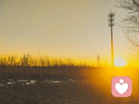 倾听，就是以尊重的态度，来了解他人的体验。