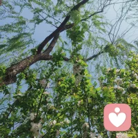 周末的時(shí)候，可以在家里做一些手工DIY，或者整理些家務(wù)，總之讓自己動(dòng)起來，暫時(shí)讓情緒從高壓的工作中脫離。配圖