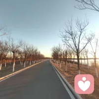 在人生的艰难时刻，即便昏暗无光，我们也要为自己点燃一束光。这光往往不只与你有关，而是超越自我的更大价值和更高目标，它会激活我们内在深处的无限可能。