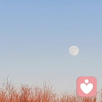 把自己獲得成功的經驗一點一點地都寫下來，最好能夠在每一項原因的后面都加上成功的占比，這能幫助我們正視自己的成功都有哪些自身和外在因素。配圖