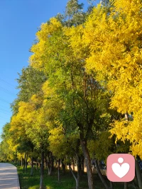 認(rèn)同自己的優(yōu)勢可以幫助自己體驗到能力和自信。有時候，你只是改變了一下認(rèn)知的角度，劣勢就變成了優(yōu)勢，你也會漸漸愛上自己。配圖