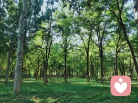 在職場中，和領導意見不統一是常有的事。被否定時，直來直去地反駁，無法幫你達成目的。可以通過間接的方式，讓領導聽進自己的意見。