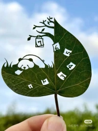 这个世界的评价体系永远充满矛盾：
有人厌恶玫瑰的刺，
却有人着迷于它带刺的浪漫；
有人嫌弃野草杂乱无章，
却有人赞叹它破土而出的生命力。
 
你的价值，从不由他人的只言片语决定。
那些试图定义你的声音，不过是他们认知的投射，
而非你的真相。​