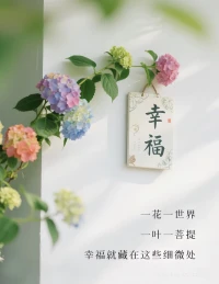 被看見的瞬間往往赤裸得生疼，
但看見意圖背后的感受與需要時(shí)，
這種覺察如同一面鏡子，
讓另一個(gè)人的光得以顯現(xiàn)。
這世上所有輕盈的愛都懸浮于皮囊，
惟·有透過現(xiàn)象看本質(zhì)才能直抵靈·魂的溫床。配圖