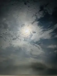 在夏與秋的渡口，讓我們放下盛夏時的執念，擁一川秋風入懷，踏一路秋葉而歌。配圖